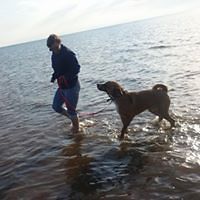 triciat.duffy avatar