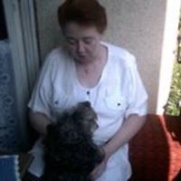 542ab8766538e avatar