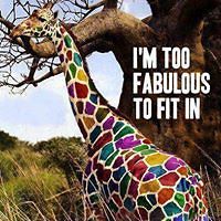 tsveta.koleva avatar