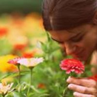 arianne-koutstaal avatar