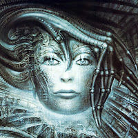 martinadivjanovic avatar