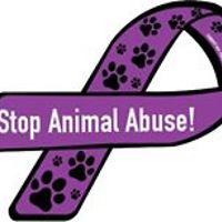 jeannie-jordahl avatar