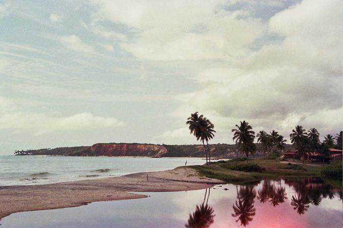 Cocos Beach In Paraiba Brasil
