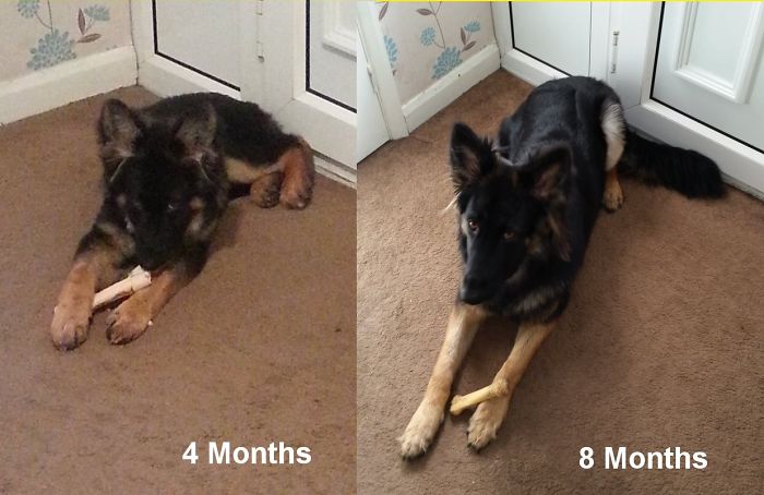 Poppy Growing Up...... Fast!