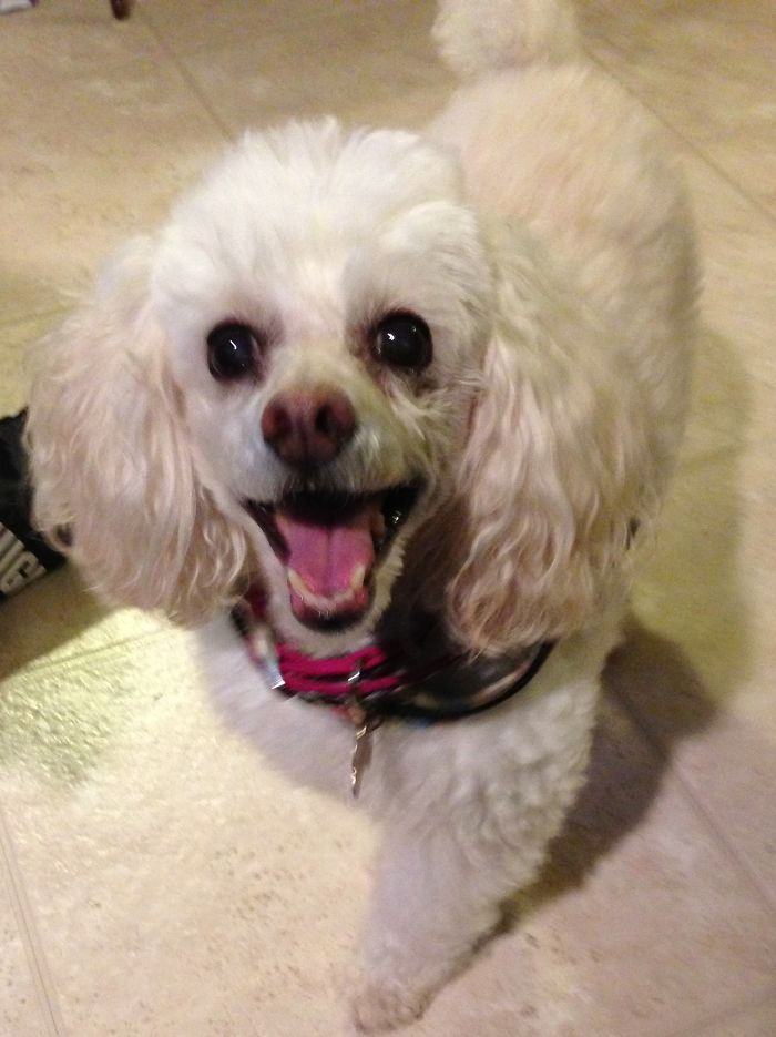 Aj's First Smile After Being Adopted!