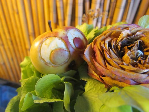 I Am Allergic To Apples, So That Is The Only Way I Can Use Them