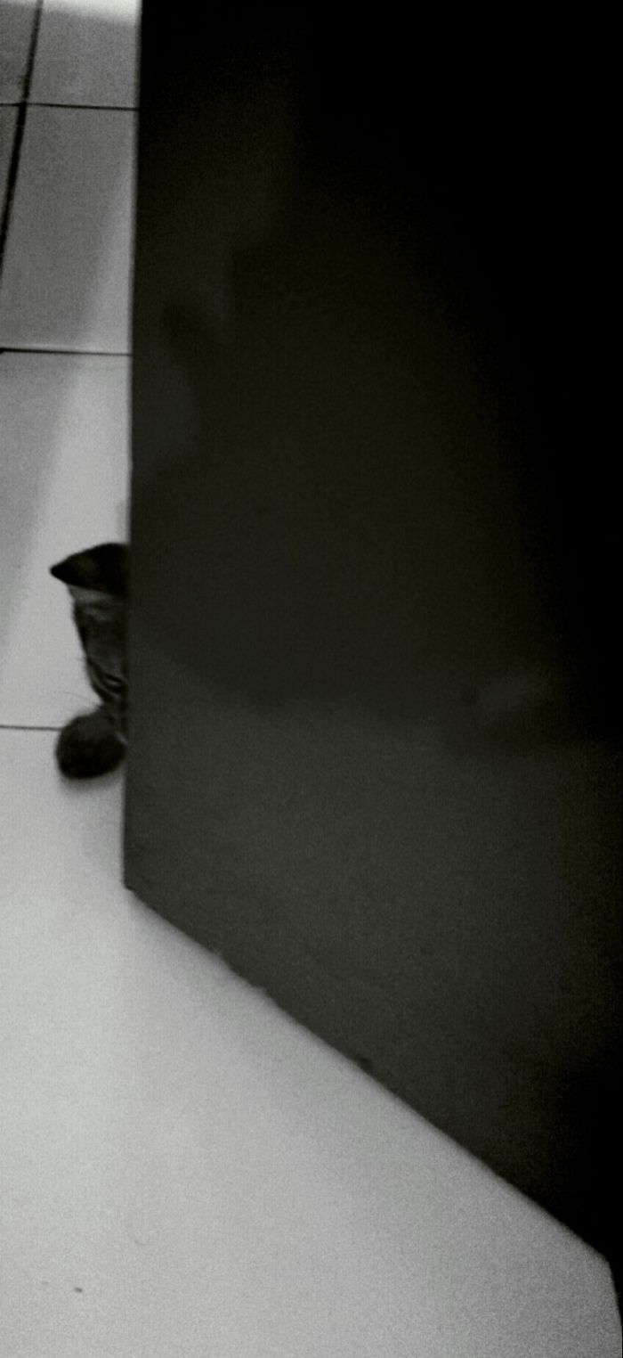 Billy Plays Hide And Seek.