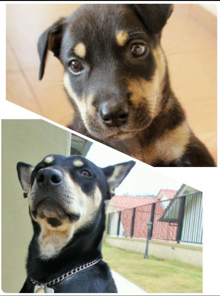 3 Years Apart - My Cookie Boy