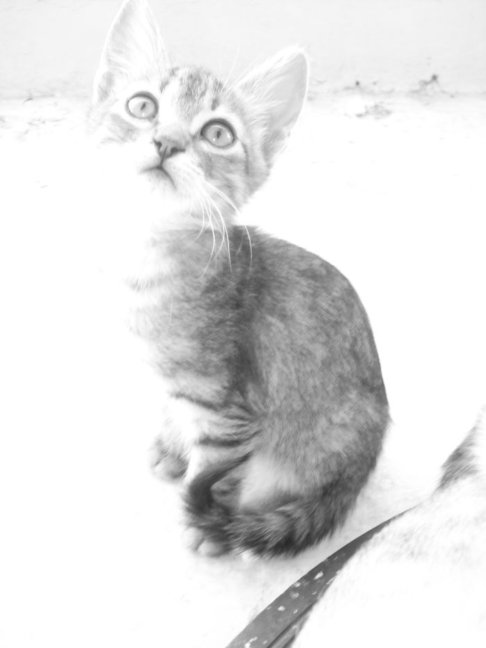 She's Not That Angelic In Reality...