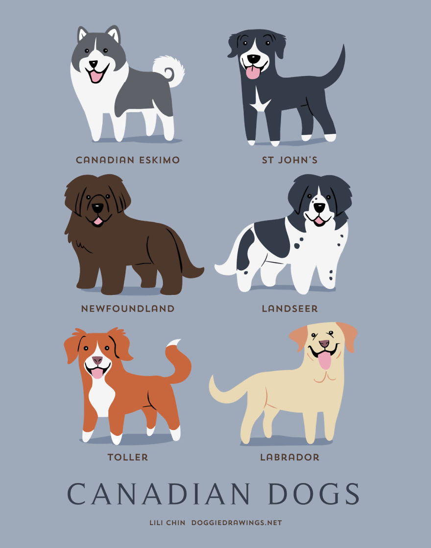 Dogs Of The World: Cute Posters Show The Origins Of 200+ Dog Breeds Dogs Of The World: Cute Posters Show The Origins Of 200+ Dog Breeds