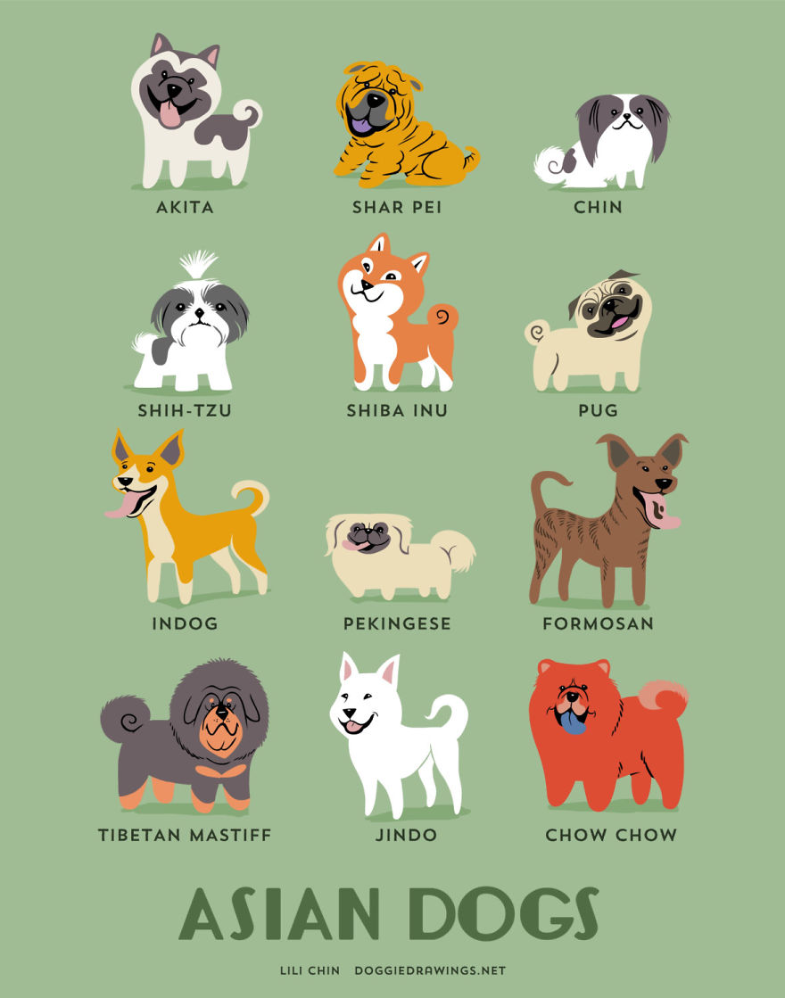 Dogs Of The World: Cute Posters Show The Origins Of 200+ Dog Breeds Dogs Of The World: Cute Posters Show The Origins Of 200+ Dog Breeds
