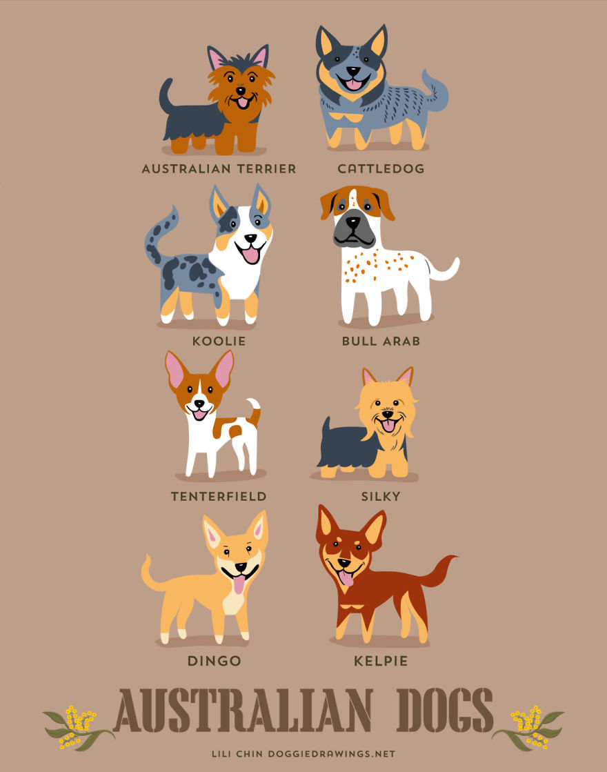 Dogs Of The World: Cute Posters Show The Origins Of 200+ Dog Breeds Dogs Of The World: Cute Posters Show The Origins Of 200+ Dog Breeds