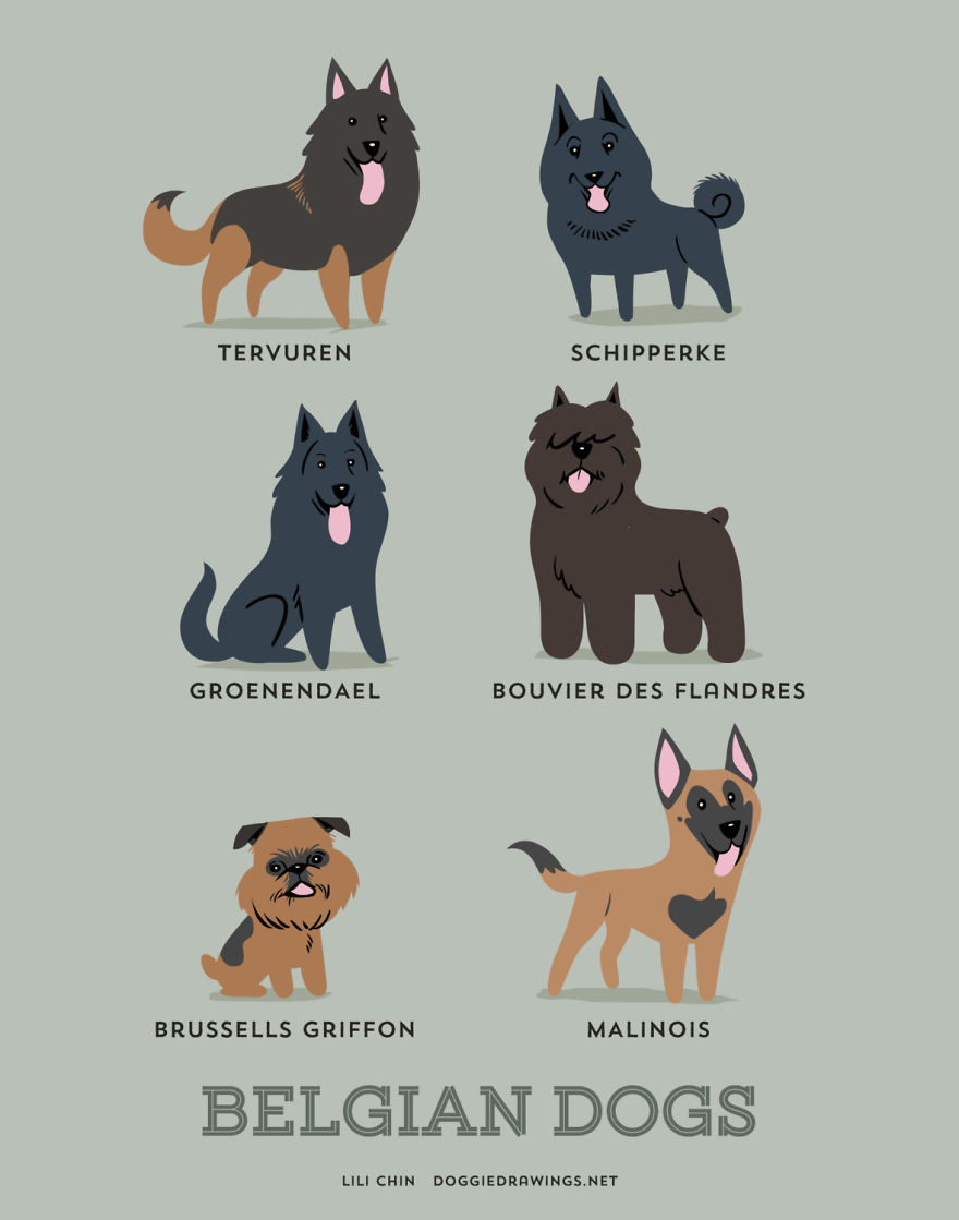 Dogs Of The World: Cute Posters Show The Origins Of 200+ Dog Breeds Dogs Of The World: Cute Posters Show The Origins Of 200+ Dog Breeds