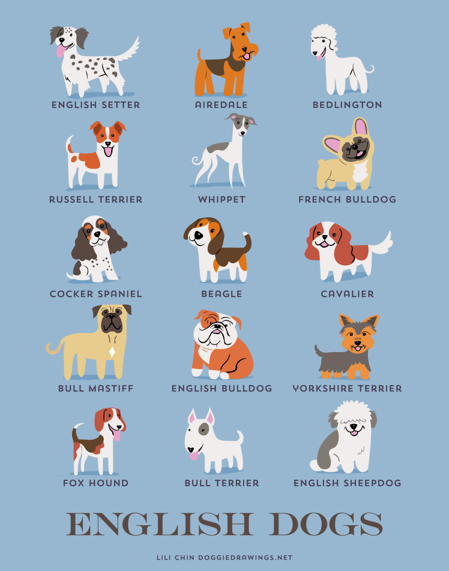 Dogs Of The World: Cute Posters Show The Origins Of 200+ Dog Breeds Dogs Of The World: Cute Posters Show The Origins Of 200+ Dog Breeds