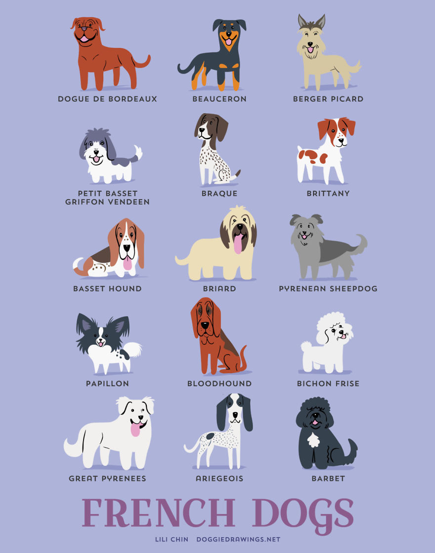 Dogs Of The World: Cute Posters Show The Origins Of 200+ Dog Breeds Dogs Of The World: Cute Posters Show The Origins Of 200+ Dog Breeds