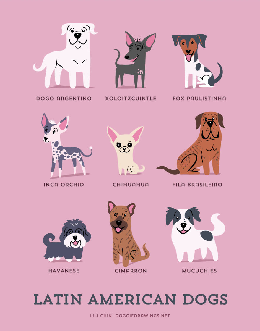 Dogs Of The World: Cute Posters Show The Origins Of 200+ Dog Breeds Dogs Of The World: Cute Posters Show The Origins Of 200+ Dog Breeds