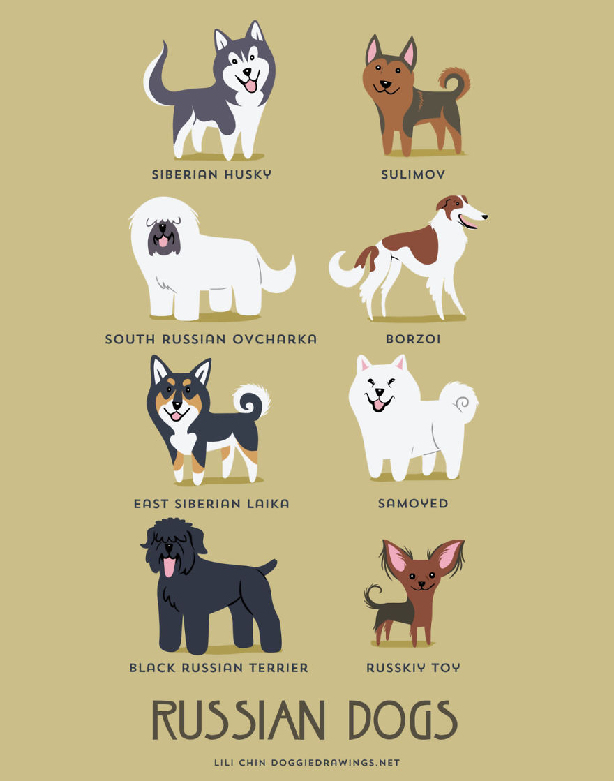 Dogs Of The World: Cute Posters Show The Origins Of 200+ Dog Breeds Dogs Of The World: Cute Posters Show The Origins Of 200+ Dog Breeds
