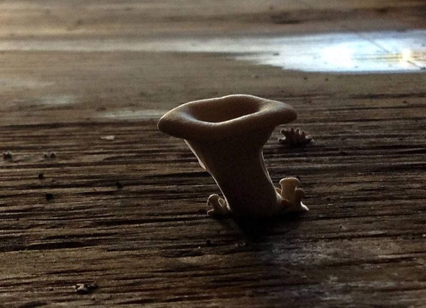 Unexpected Life Inside A Dumpster