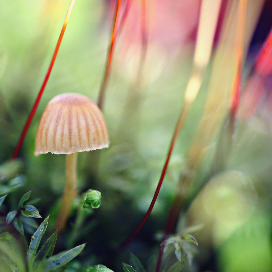 Taken By My 7 Year Old Daughter...!