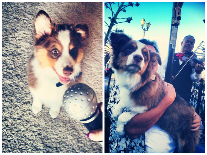 Kindle At 9 Weeks And 9 Months