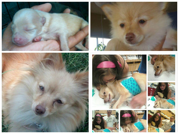 From The Day She Came Into This World Until The Day She Was Taken Out. Rip Bubba Lucy 2011-2013