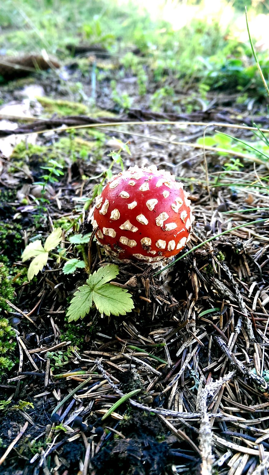 You Can Literaly Lose Your Mind After This One