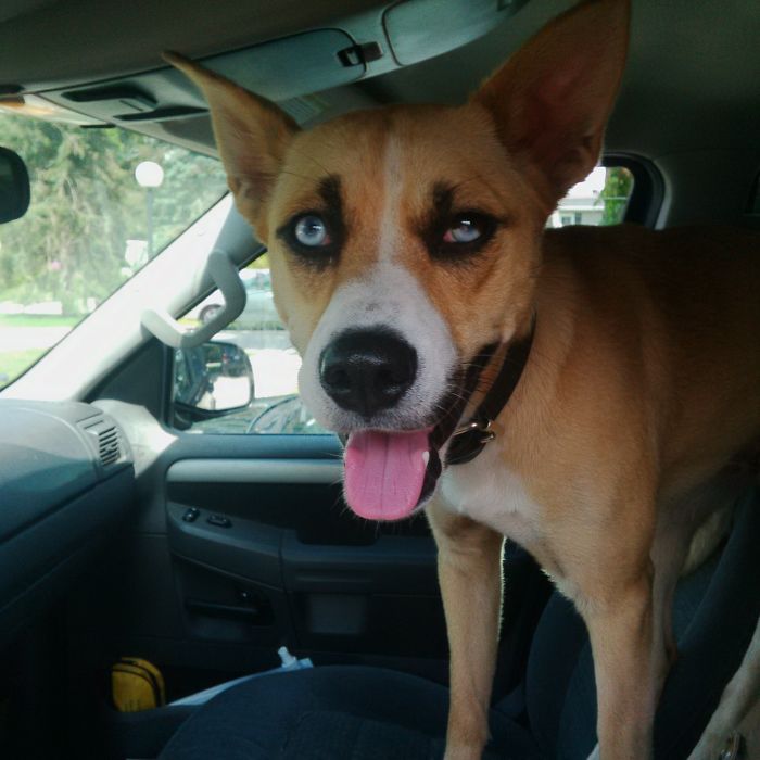 Look At Those Eyes Of Tien