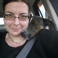 imahsillygirlgmail-com avatar