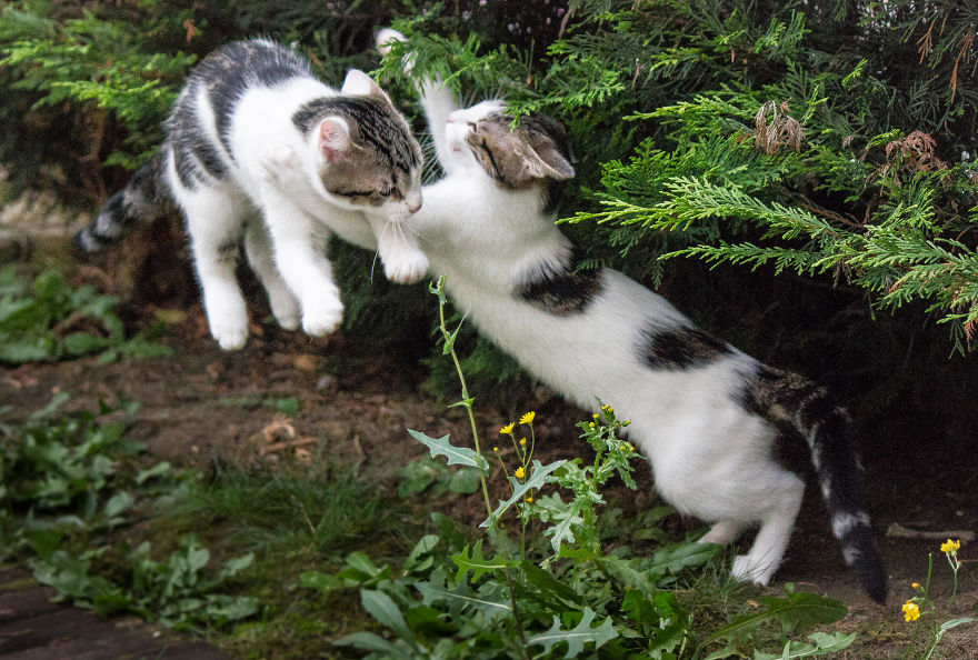 Catch Me .... If You Can !!!!!