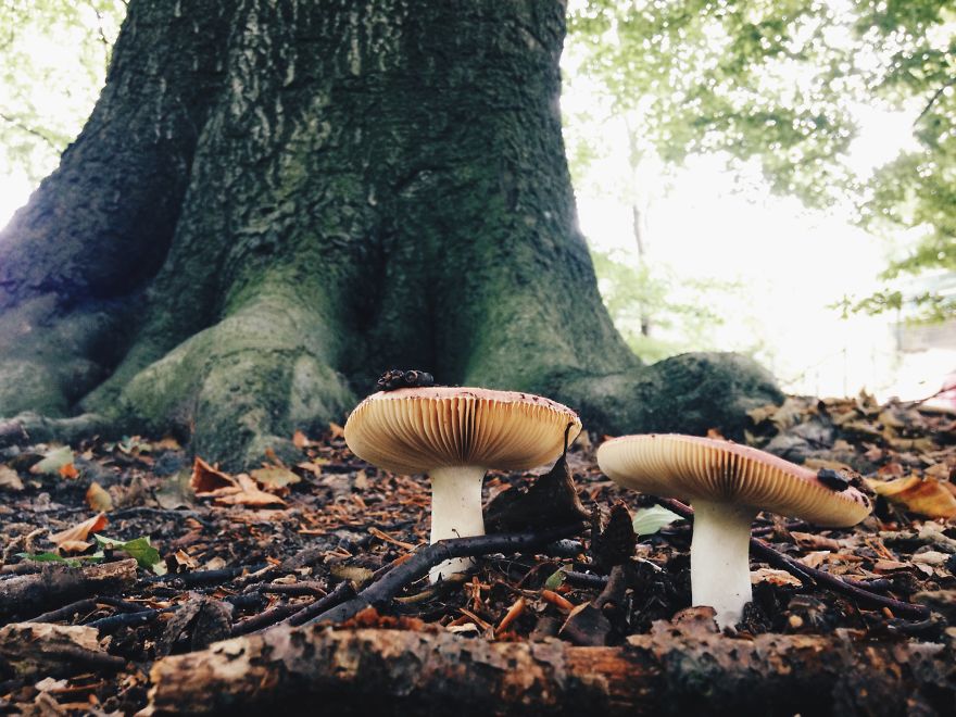 Change Of The Season