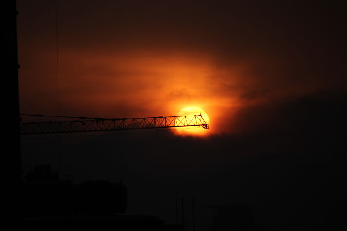 Artistry In Nature, Tel Aviv