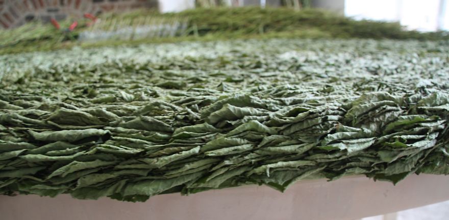 "infinity" By Floral Designer Natallia Sakalova