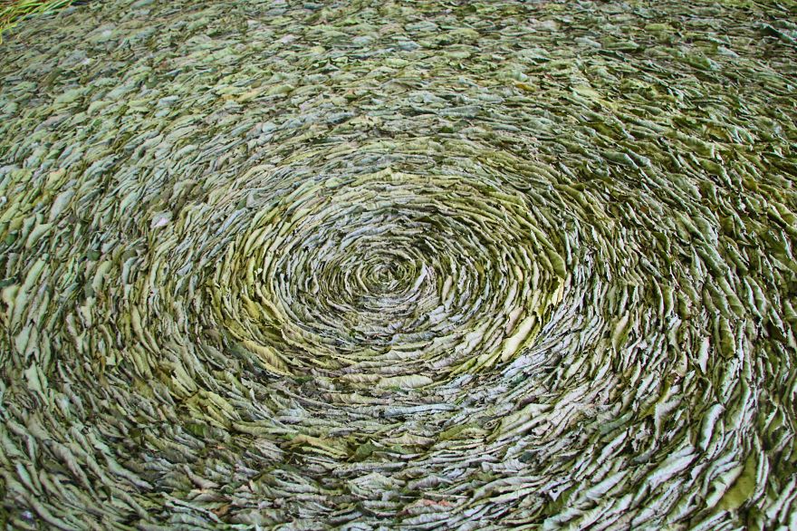 "infinity" By Floral Designer Natallia Sakalova