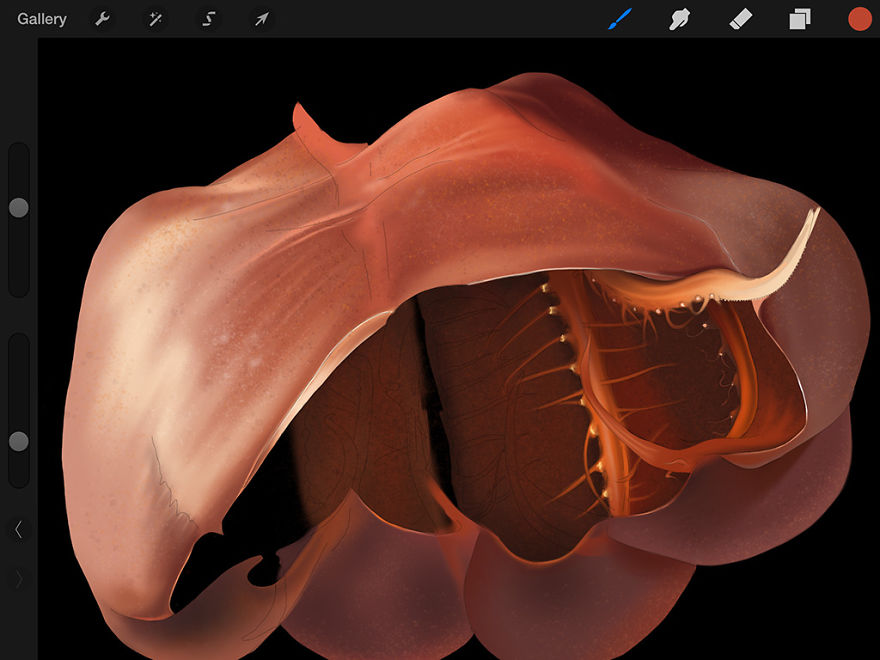 I Create Realistic Finger Paintings On My iPad I Create Realistic Finger Paintings On My iPad