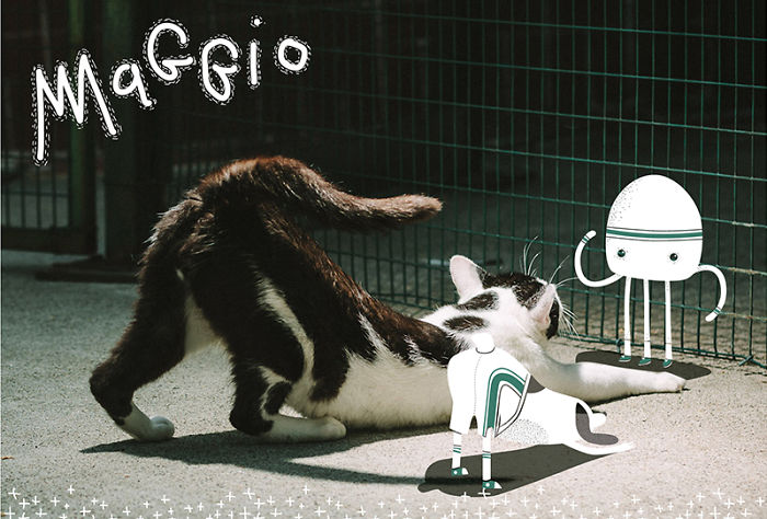 It's A Cat's World: I Made A Calendar For Those Who Like Little Furry Things (Except For Fur Coats) It's A Cat's World: I Made A Calendar For Those Who Like Little Furry Things (Except For Fur Coats)