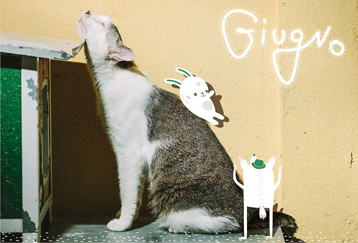 It's A Cat's World: I Made A Calendar For Those Who Like Little Furry Things (Except For Fur Coats) It's A Cat's World: I Made A Calendar For Those Who Like Little Furry Things (Except For Fur Coats)