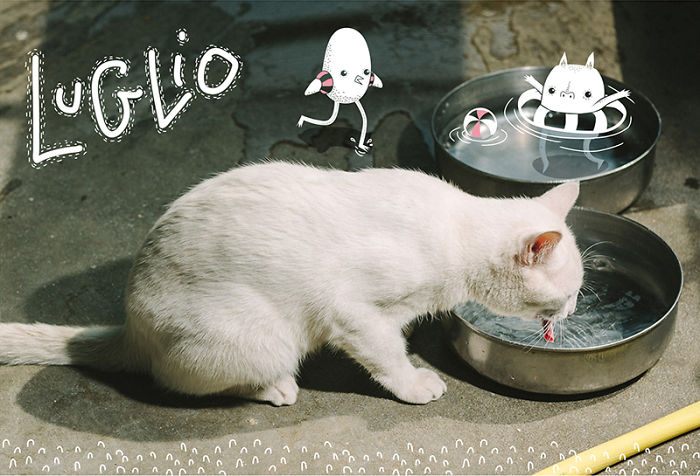 It's A Cat's World: I Made A Calendar For Those Who Like Little Furry Things (Except For Fur Coats) It's A Cat's World: I Made A Calendar For Those Who Like Little Furry Things (Except For Fur Coats)