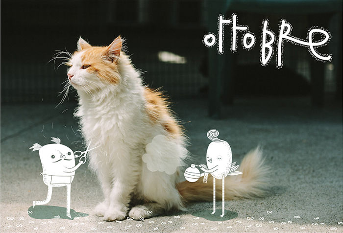 It's A Cat's World: I Made A Calendar For Those Who Like Little Furry Things (Except For Fur Coats) It's A Cat's World: I Made A Calendar For Those Who Like Little Furry Things (Except For Fur Coats)