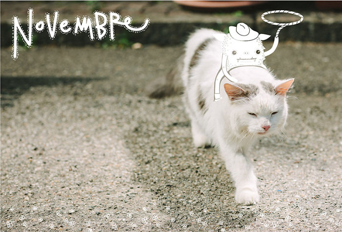 It's A Cat's World: I Made A Calendar For Those Who Like Little Furry Things (Except For Fur Coats)