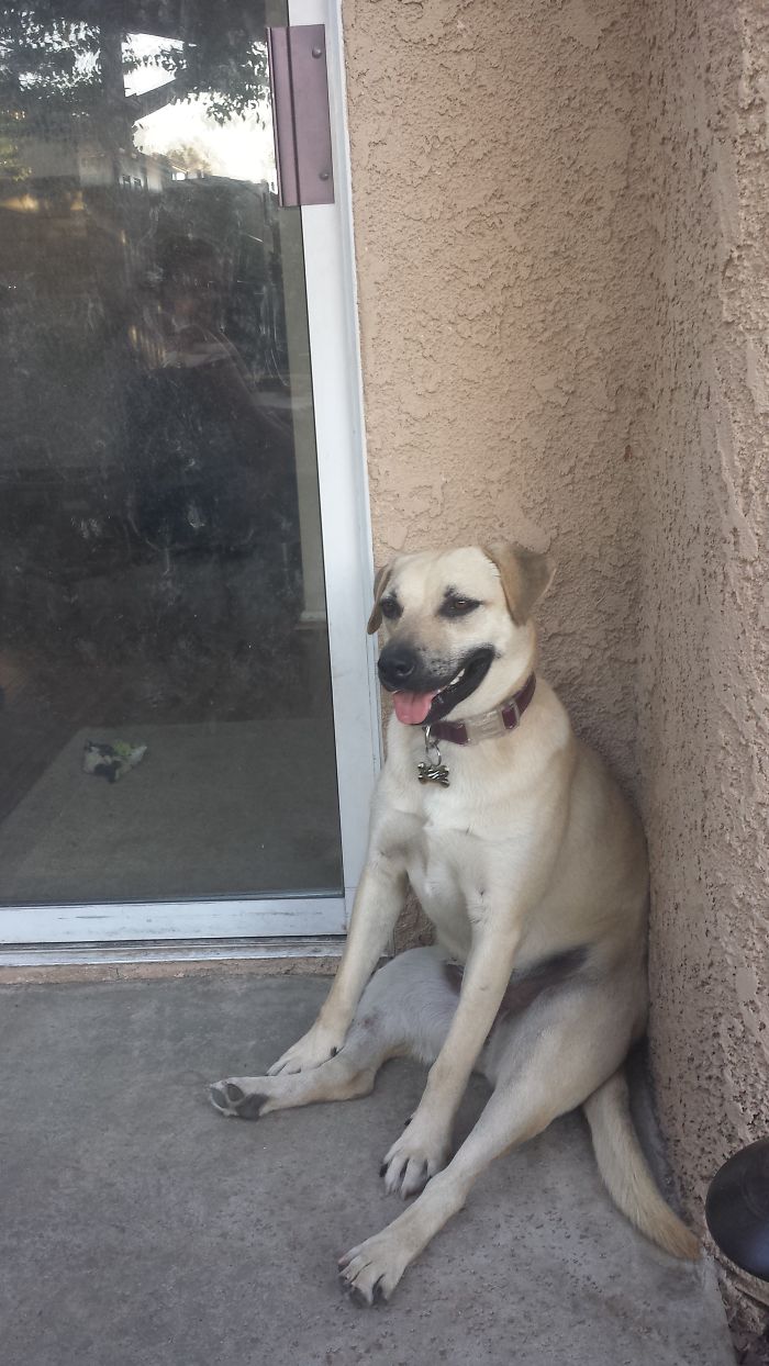 Lily In Her Happy Patio Corner.
