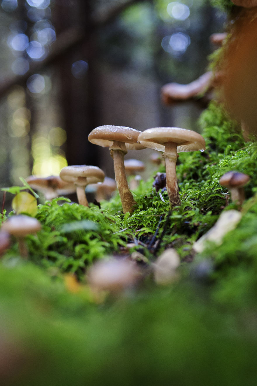 Good Morning World..