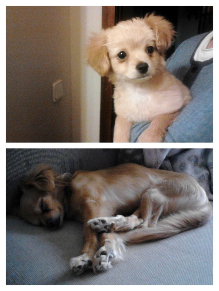 Lira 1 Year Apart :3