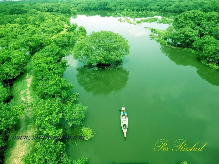Ratargul Swamp Forest, Sylhet, Bangladesh