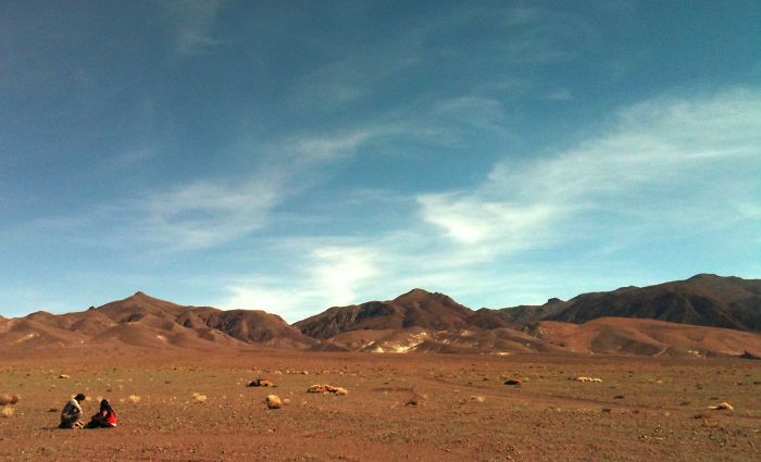Llama Watching, Llama Waiting - San Pedro De Atacama, Chile