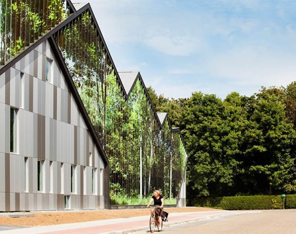 Stunnung Mirror Architecture Around The World