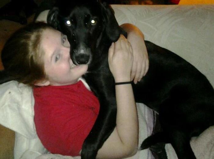 Teggy, The Now-70-pound Lap Dog. Lap Provided By Lauren.