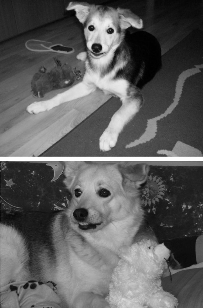 Some Things Never Change