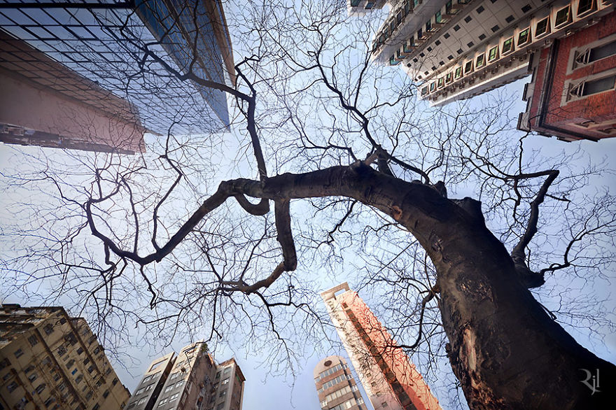 Vertical Horizon In Hong Kong By Romain Jacquet-Lagreze Vertical Horizon In Hong Kong By Romain Jacquet-Lagreze