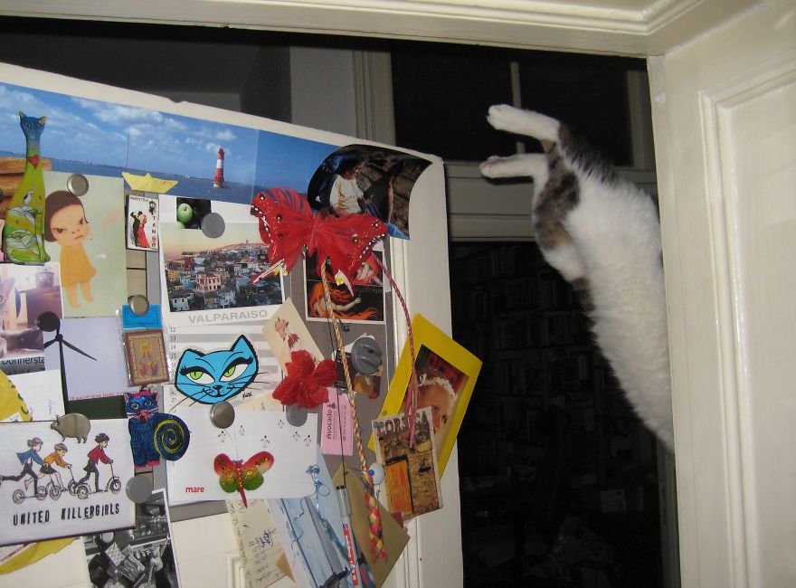 Wassja Jumping From The Door