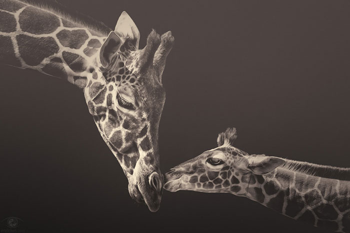Soulful Photographs Of Zoo Animals By Manuela Kulpa